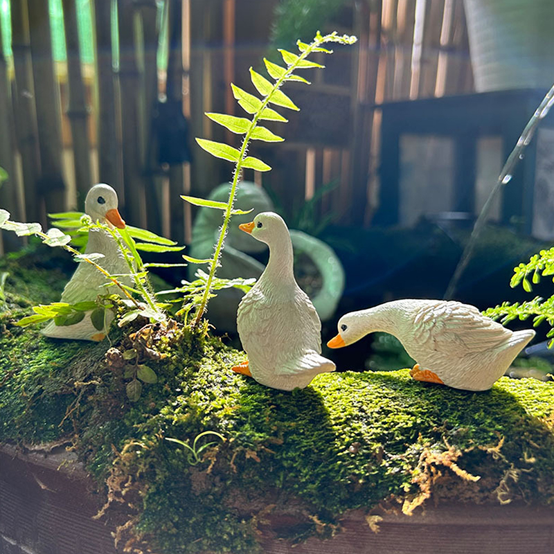 3pcs Cute White Duck Hydroponi – обзор и цена Desk Setup Retro