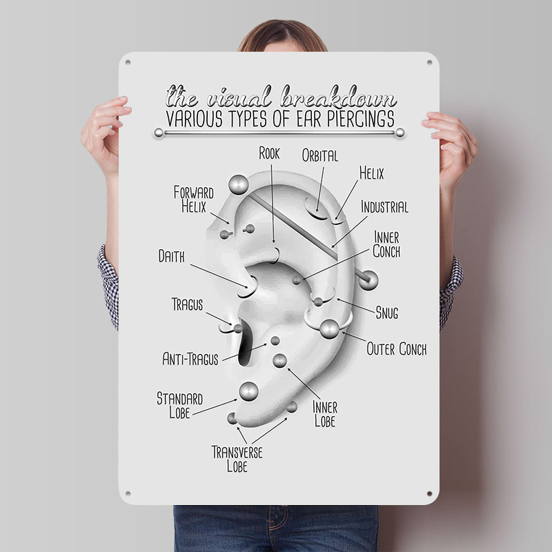 Ear Piercing Chart Metal Poste – обзор и цена Desk Setup Poster