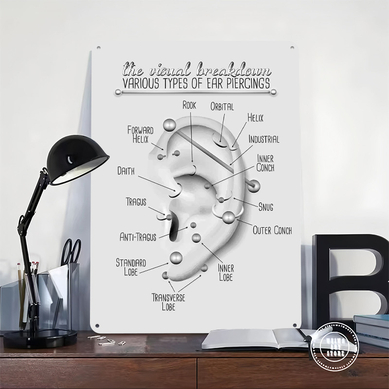 Ear Piercing Chart Metal Poste – обзор и цена Desk Setup Poster