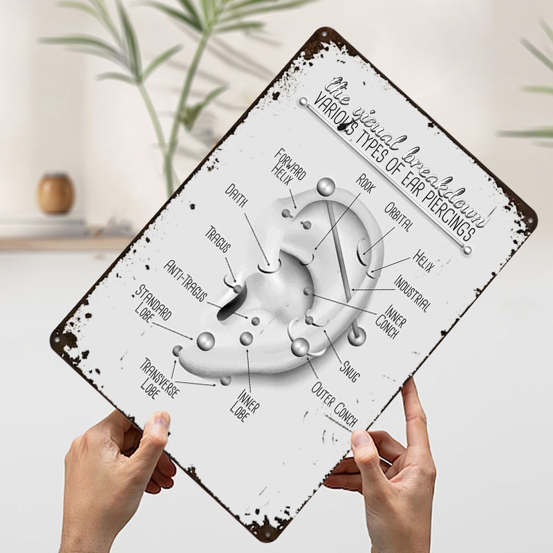 Ear Piercing Chart Metal Poste – обзор и цена Desk Setup Poster
