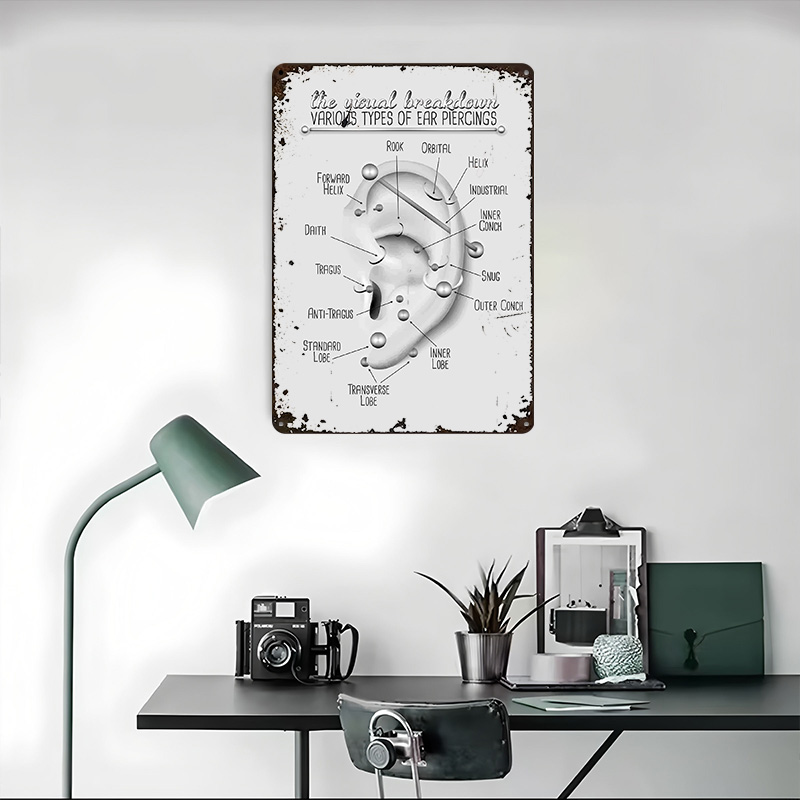 Ear Piercing Chart Metal Poste – обзор и цена Desk Setup Poster